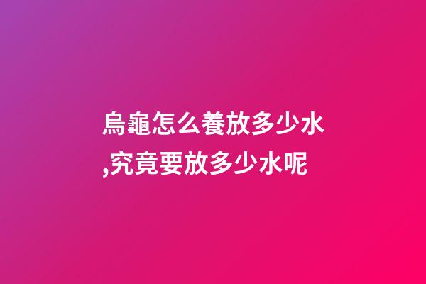 烏龜怎么養放多少水,究竟要放多少水呢-第1張-觀點-玄機派