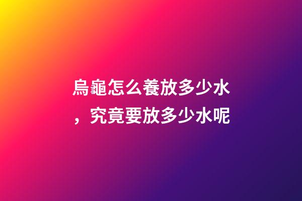 烏龜怎么養放多少水，究竟要放多少水呢-第1張-觀點-玄機派
