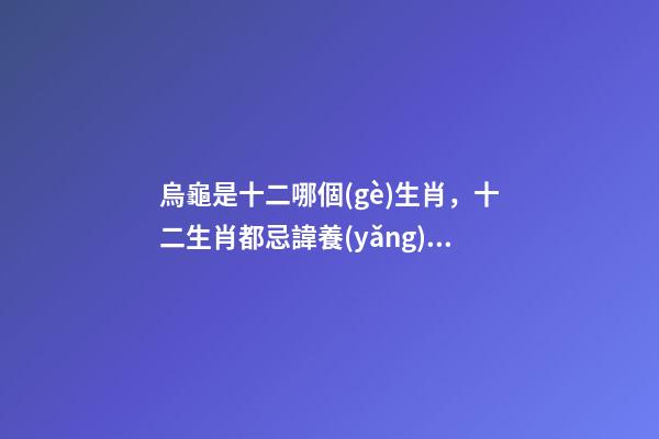 烏龜是十二哪個(gè)生肖，十二生肖都忌諱養(yǎng)什么寵物-第1張-觀點(diǎn)-玄機(jī)派