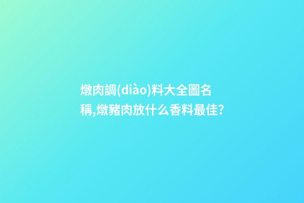 燉肉調(diào)料大全圖名稱,燉豬肉放什么香料最佳？