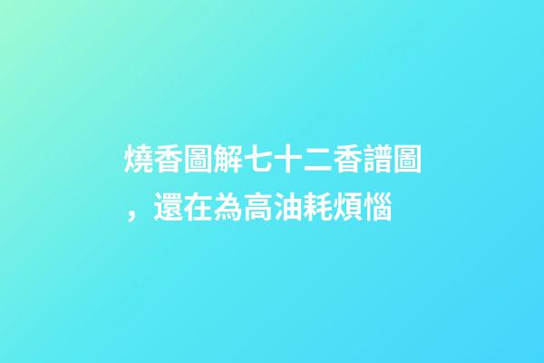 燒香圖解七十二香譜圖，還在為高油耗煩惱-第1張-觀點(diǎn)-玄機(jī)派