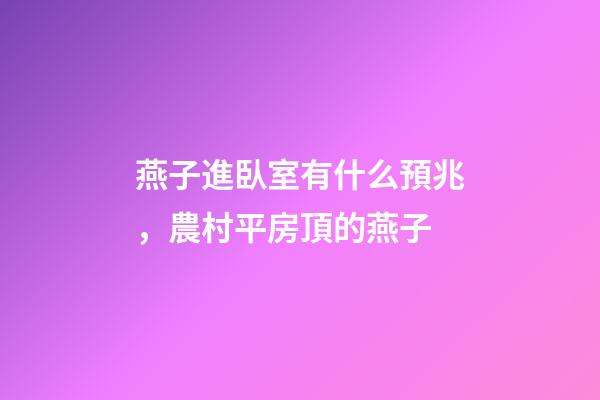 燕子進臥室有什么預兆，農村平房頂的燕子-第1張-觀點-玄機派