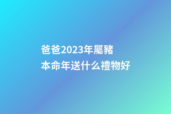 爸爸2023年屬豬本命年送什么禮物好