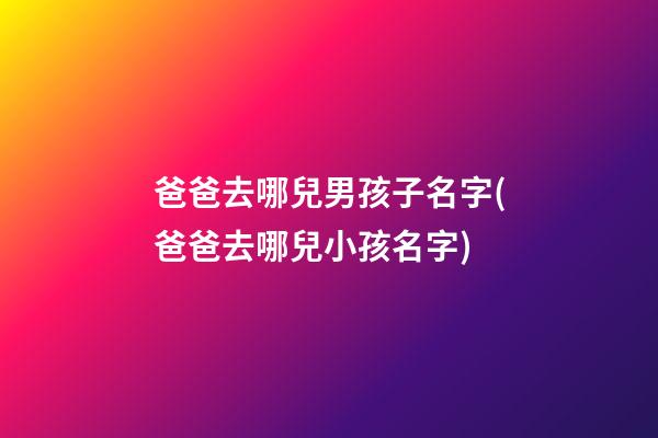 爸爸去哪兒男孩子名字(爸爸去哪兒小孩名字)