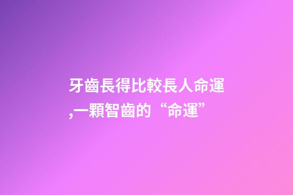 牙齒長得比較長人命運,一顆智齒的“命運”-第1張-觀點-玄機派