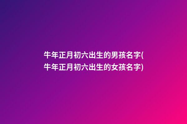 牛年正月初六出生的男孩名字(牛年正月初六出生的女孩名字)