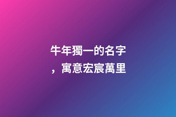 牛年獨一的名字，寓意宏宸萬里