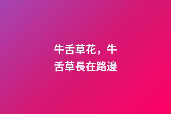 牛舌草花，牛舌草長在路邊-第1張-觀點-玄機派