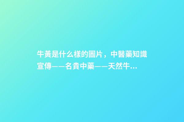 牛黃是什么樣的圖片，中醫藥知識宣傳——名貴中藥——天然牛黃-第1張-觀點-玄機派