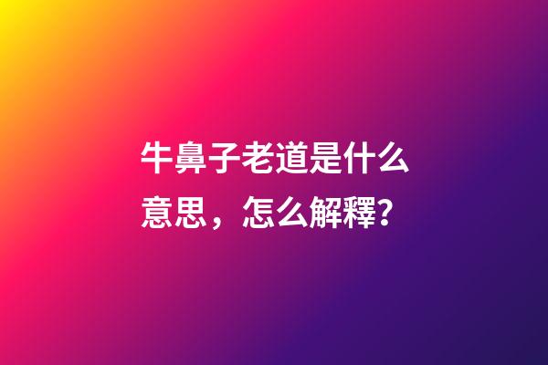牛鼻子老道是什么意思，怎么解釋？