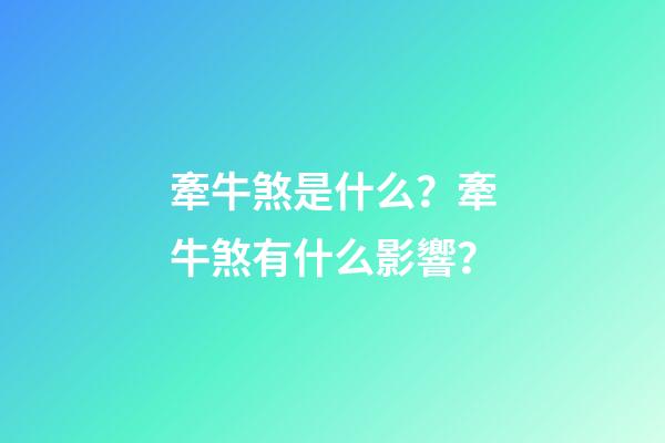 牽牛煞是什么？牽牛煞有什么影響？