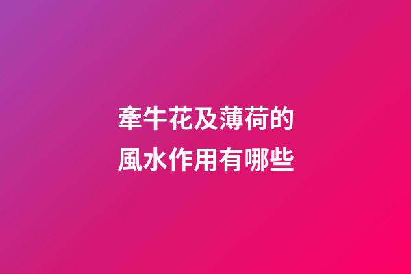 牽牛花及薄荷的風水作用有哪些?