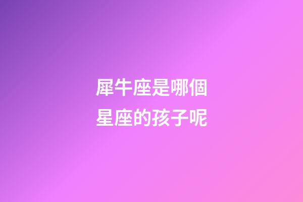犀牛座是哪個星座的孩子呢-第1張-星座運勢-玄機派