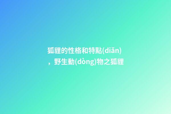 狐貍的性格和特點(diǎn)，野生動(dòng)物之狐貍-第1張-觀點(diǎn)-玄機(jī)派