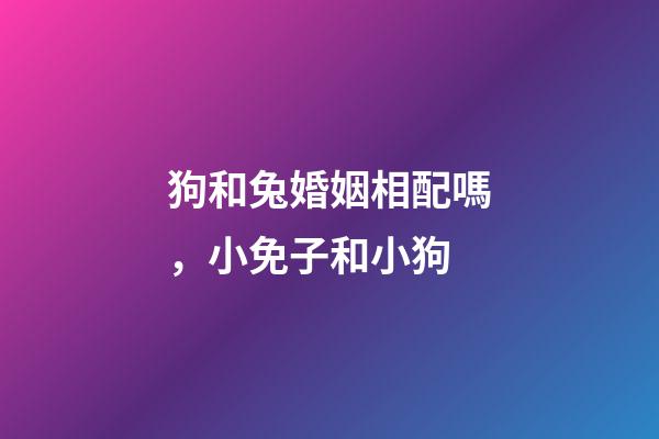 狗和兔婚姻相配嗎，小免子和小狗-第1張-觀點(diǎn)-玄機(jī)派