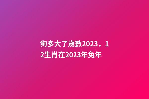 狗多大了歲數2023，12生肖在2023年兔年-第1張-觀點-玄機派