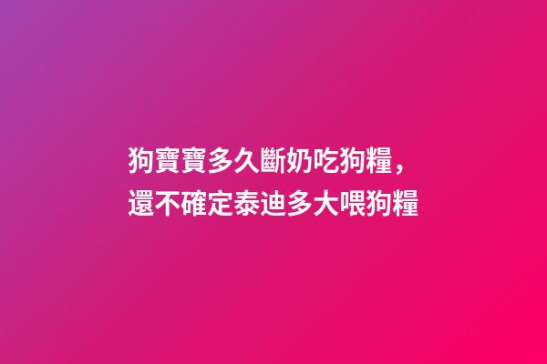 狗寶寶多久斷奶吃狗糧，還不確定泰迪多大喂狗糧-第1張-觀點-玄機派