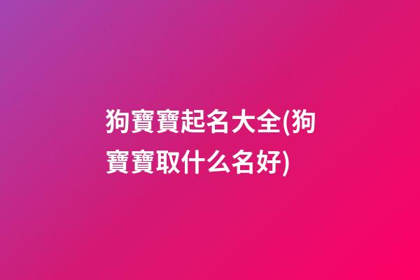 狗寶寶起名大全(狗寶寶取什么名好)