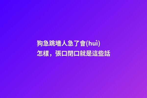狗急跳墻人急了會(huì)怎樣，張口閉口就是這些話-第1張-觀點(diǎn)-玄機(jī)派