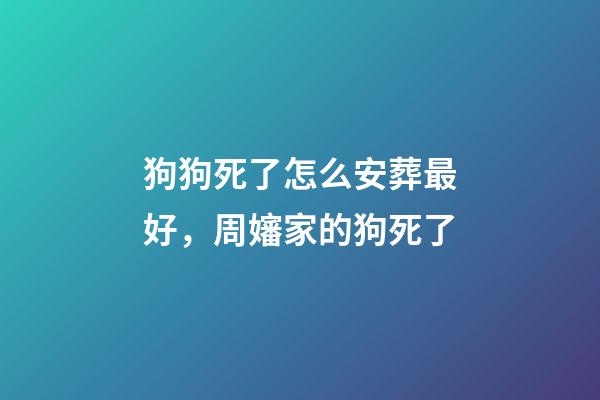 狗狗死了怎么安葬最好，周嬸家的狗死了-第1張-觀點-玄機派