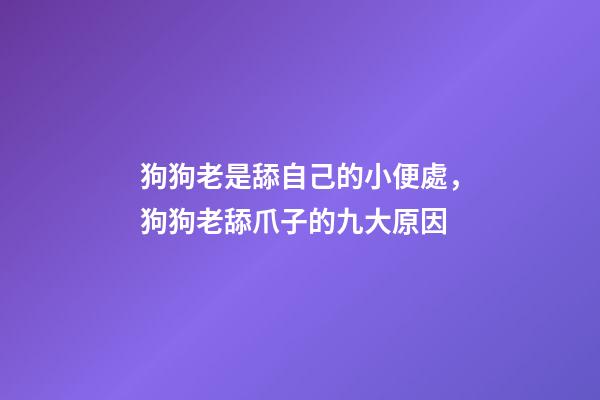 狗狗老是舔自己的小便處，狗狗老舔爪子的九大原因-第1張-觀點-玄機派