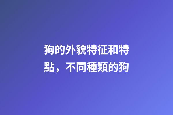 狗的外貌特征和特點，不同種類的狗-第1張-觀點-玄機派