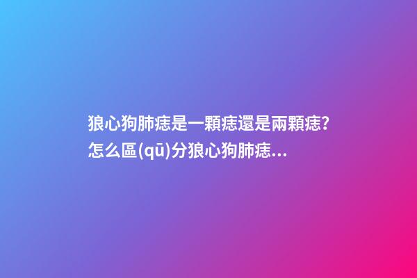 狼心狗肺痣是一顆痣還是兩顆痣？怎么區(qū)分狼心狗肺痣？