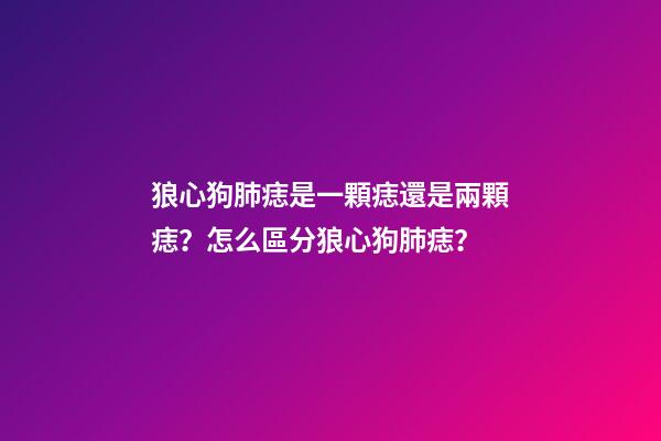 狼心狗肺痣是一顆痣還是兩顆痣？怎么區分狼心狗肺痣？