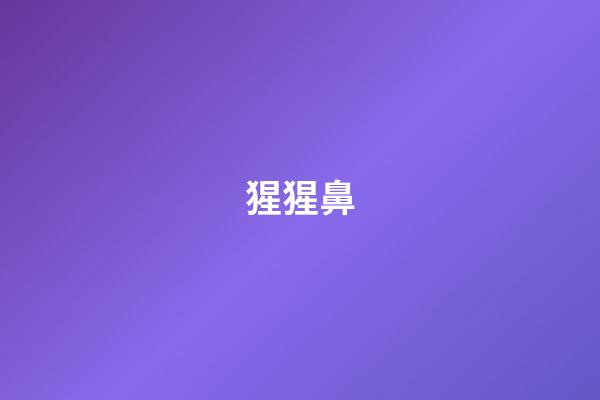 猩猩鼻