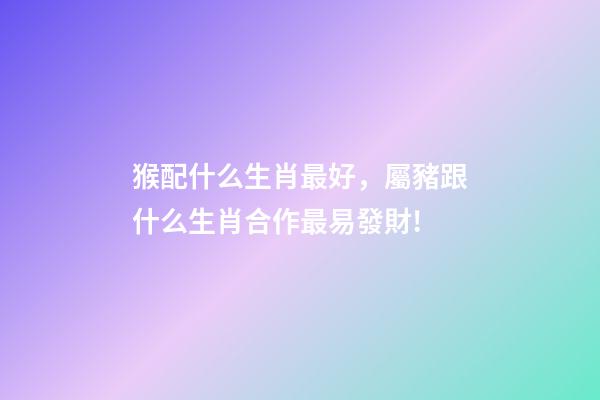 猴配什么生肖最好，屬豬跟什么生肖合作最易發財!-第1張-觀點-玄機派