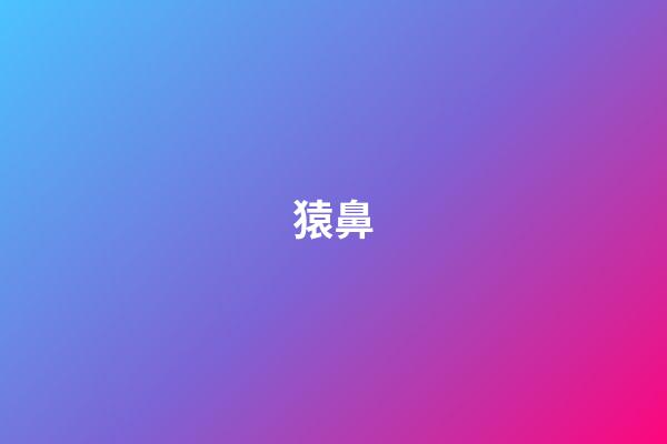 猿鼻