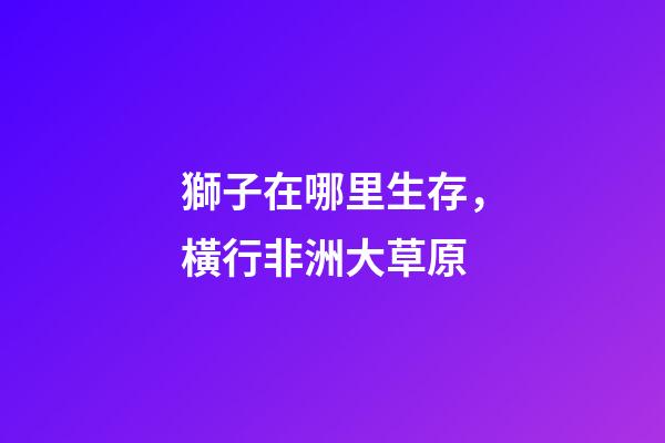 獅子在哪里生存，橫行非洲大草原-第1張-觀點-玄機(jī)派