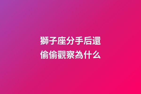 獅子座分手后還偷偷觀察為什么-第1張-星座運勢-玄機派