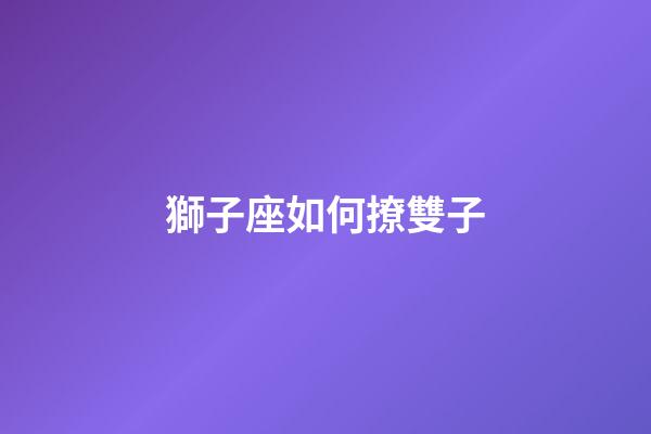 獅子座如何撩雙子-第1張-星座運勢-玄機派