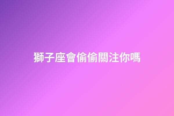 獅子座會偷偷關注你嗎-第1張-星座運勢-玄機派