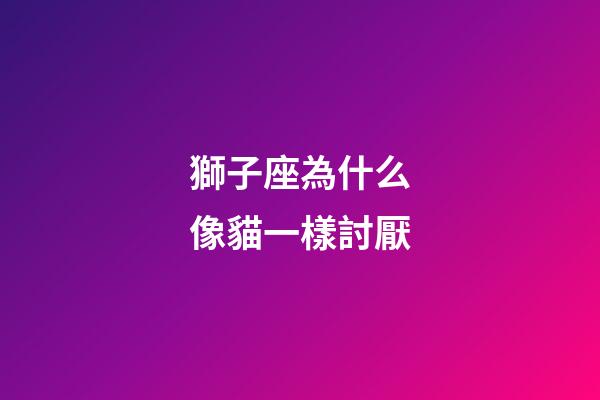 獅子座為什么像貓一樣討厭-第1張-星座運勢-玄機派