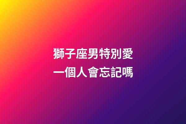 獅子座男特別愛一個人會忘記嗎-第1張-星座運勢-玄機派
