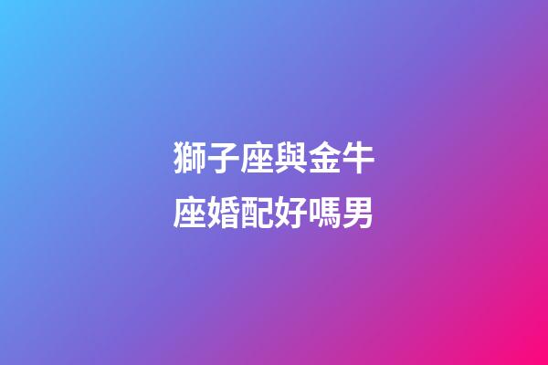 獅子座與金牛座婚配好嗎男-第1張-星座運(yùn)勢-玄機(jī)派