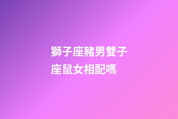 獅子座豬男雙子座鼠女相配嗎-第1張-星座運勢-玄機派