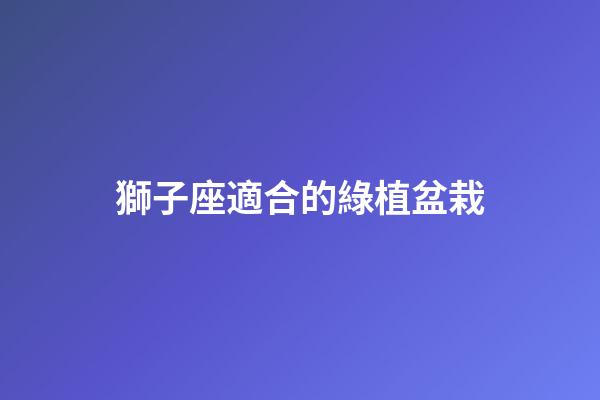 獅子座適合的綠植盆栽-第1張-星座運勢-玄機派