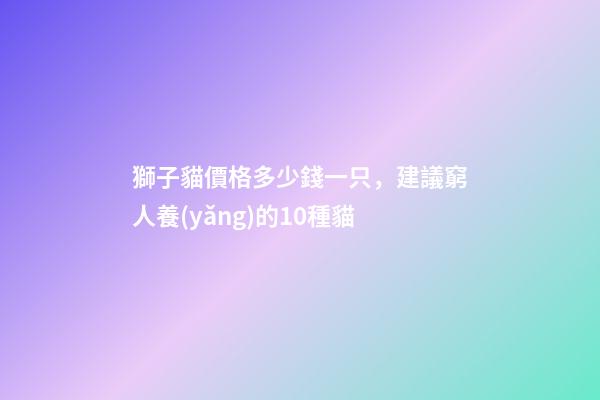 獅子貓價格多少錢一只，建議窮人養(yǎng)的10種貓-第1張-觀點-玄機派