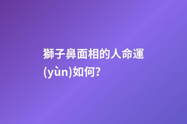 獅子鼻面相的人命運(yùn)如何？