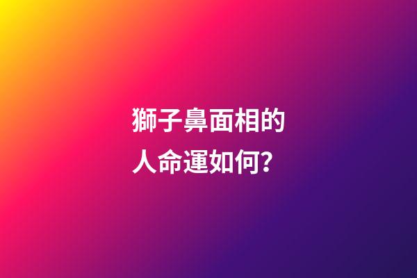 獅子鼻面相的人命運如何？