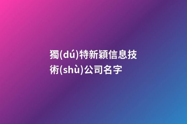 獨(dú)特新穎信息技術(shù)公司名字