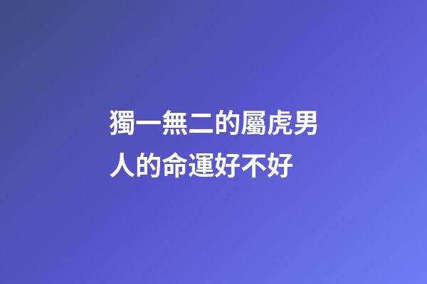 獨一無二的屬虎男人的命運好不好