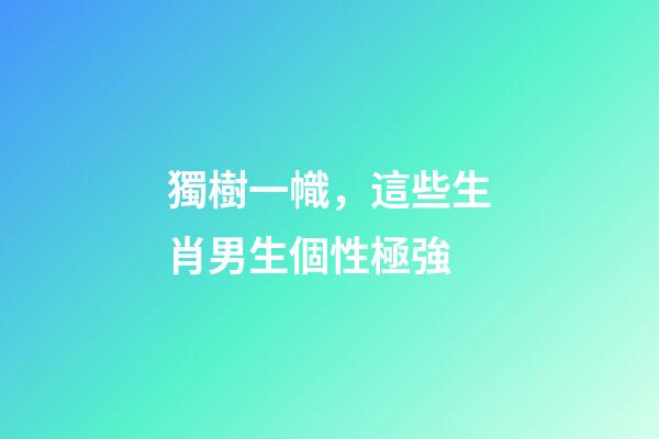 獨樹一幟，這些生肖男生個性極強