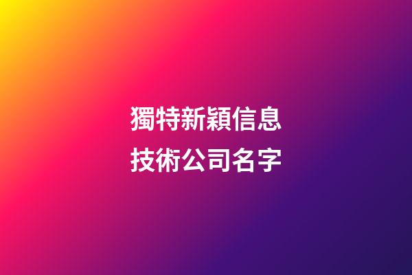 獨特新穎信息技術公司名字