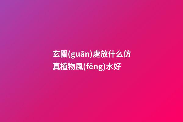 玄關(guān)處放什么仿真植物風(fēng)水好