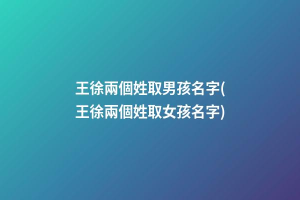 王徐兩個姓取男孩名字(王徐兩個姓取女孩名字)