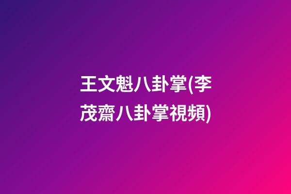 王文魁八卦掌(李茂齋八卦掌視頻)